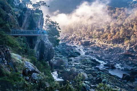 3.5 Hours Walking Tour To Cataract Gorge With Local Guide - New Castle Holiday 0