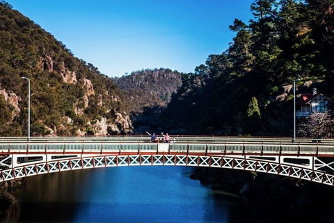 3.5 Hours Walking Tour To Cataract Gorge With Local Guide - New Castle Holiday 5