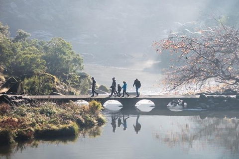 3.5 Hours Walking Tour To Cataract Gorge With Local Guide - New Castle Holiday 4