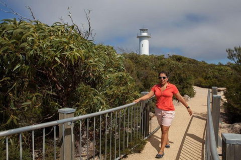 Half-Day Tour To Wineglass Bay From Launceston With Guide - New Castle Holiday 2