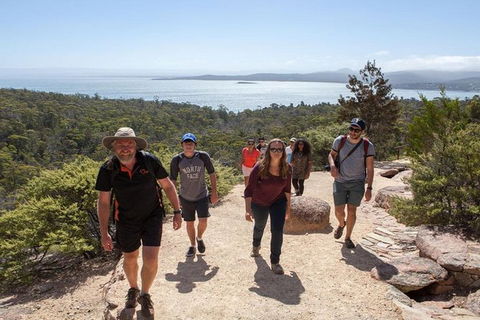 Half-Day Tour To Wineglass Bay From Launceston With Guide - New Castle Holiday 4
