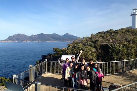 Half-Day Tour To Wineglass Bay From Launceston With Guide - New Castle Holiday 3