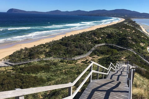 4-Day Fabulous Tasmania Tour: Wineglass Bay, Port Arthur, Devils & Bruny Island - New Castle Holiday 3