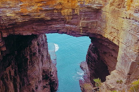 4-Day Fabulous Tasmania Tour: Wineglass Bay, Port Arthur, Devils & Bruny Island - New Castle Holiday 6