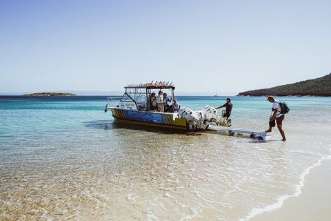 Sea & Explore Wineglass Bay & Freycinet National Park - Cruise & Walk - New Castle Holiday 3