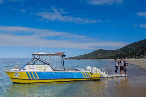Sea & Explore Wineglass Bay & Freycinet National Park - Cruise & Walk - New Castle Holiday 7