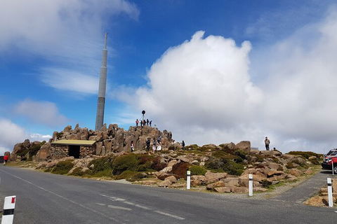 Mt. Wellington Morning Hike + Afternoon Beer & History Walk - New Castle Holiday 21
