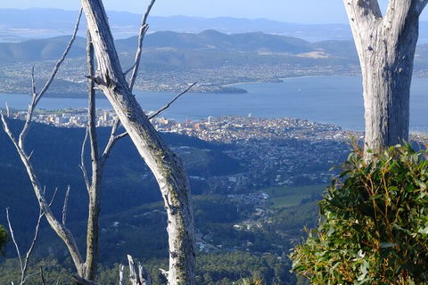 Mt. Wellington Morning Hike + Afternoon Beer & History Walk - New Castle Holiday 10