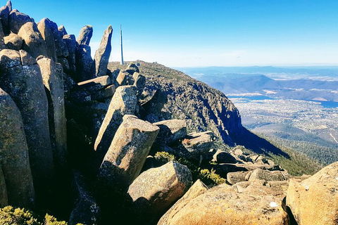 Mt. Wellington Morning Hike + Afternoon Beer & History Walk - New Castle Holiday 11