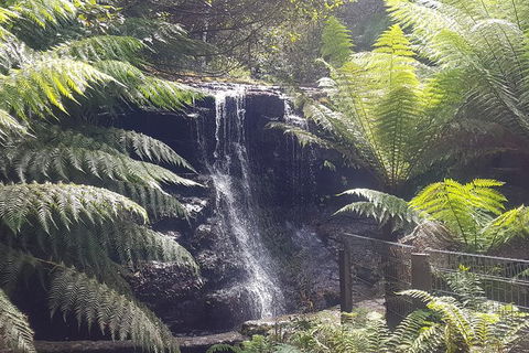 Mt. Wellington Morning Hike + Afternoon Beer & History Walk - New Castle Holiday 16