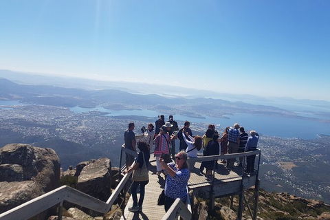 Mt. Wellington Morning Hike + Afternoon Beer & History Walk - New Castle Holiday 2