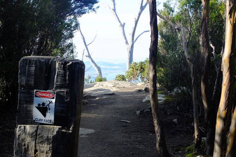 Mt. Wellington Morning Hike + Afternoon Beer & History Walk - New Castle Holiday 14