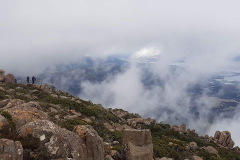 Mt. Wellington Morning Hike + Afternoon Beer & History Walk - New Castle Holiday 18