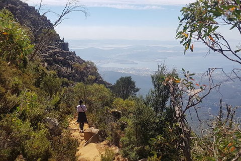 Mt. Wellington Morning Hike + Afternoon Beer & History Walk - New Castle Holiday 1