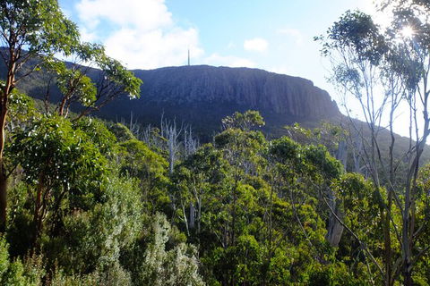 Mt. Wellington Morning Hike + Afternoon Beer & History Walk - New Castle Holiday 4