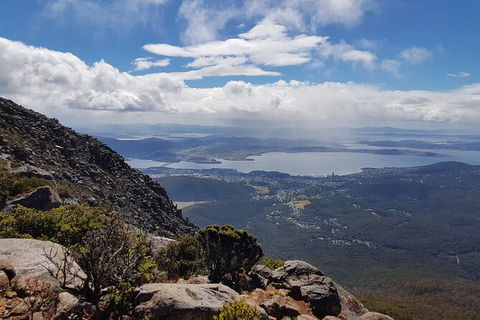 Mt. Wellington Morning Hike + Afternoon Beer & History Walk - New Castle Holiday 5