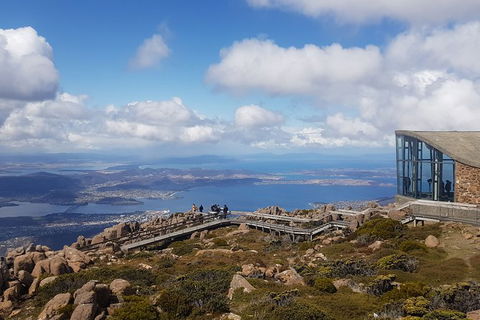 Mt. Wellington Morning Hike + Afternoon Beer & History Walk - New Castle Holiday 3