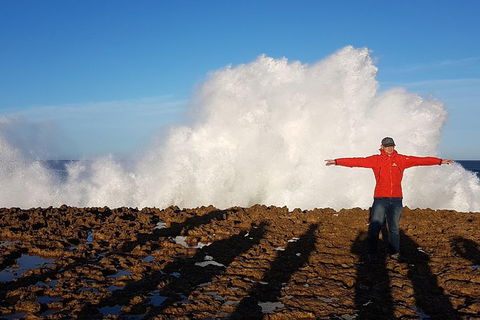 Ride Tours, 2 Day Great Ocean Road Experience - New Castle Holiday 1