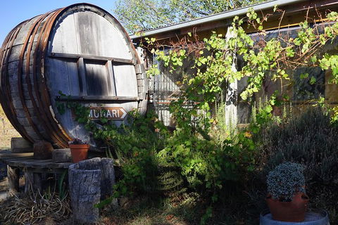 Private Seated Wine Tasting At Munari Wines - New Castle Holiday 3