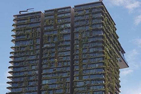 Sydney&Melbourne City Lovers- 2 Day Combo Private Tour! - New Castle Holiday 2