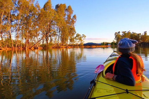Cohuna Lagoon 3 Hour Kayak Eco Tour - New Castle Holiday 1