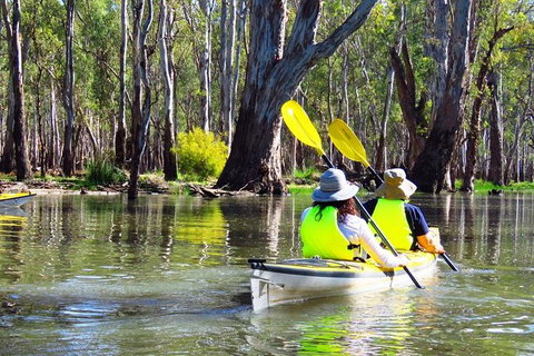 Cohuna Lagoon 3 Hour Kayak Eco Tour - New Castle Holiday 5