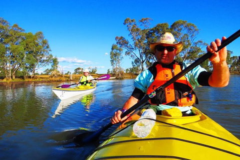 Cohuna Lagoon 3 Hour Kayak Eco Tour - New Castle Holiday 0