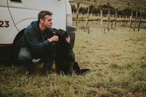 Daylesford Private, Corporate, Group Wine Tours: Wine, Cider, Gin, Vodka, Port! - New Castle Holiday 3