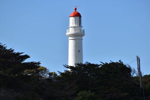 Great Ocean Road Tour Plus Koalas, Forest Walk And Morning Tea. - New Castle Holiday 1