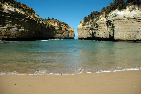Great Ocean Road Tour Plus Koalas, Forest Walk And Morning Tea. - New Castle Holiday 4