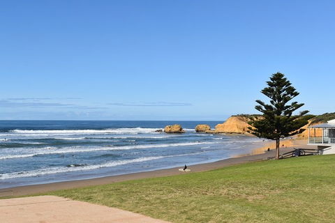 Great Ocean Road Tour Plus Koalas, Forest Walk And Morning Tea. - New Castle Holiday 3