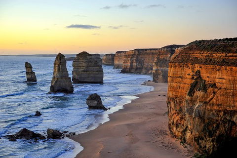 Great Ocean Road Tour Plus Koalas, Forest Walk And Morning Tea. - New Castle Holiday 0