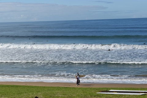 Great Ocean Road Tour Plus Koalas, Forest Walk And Morning Tea. - New Castle Holiday 9