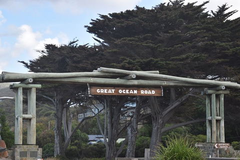 Great Ocean Road Tour Plus Koalas, Forest Walk And Morning Tea. - New Castle Holiday 7