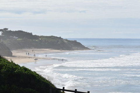 Great Ocean Road Tour Plus Koalas, Forest Walk And Morning Tea. - New Castle Holiday 10