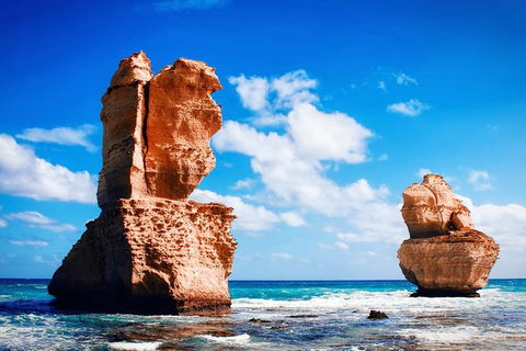 Great Ocean Road Tour Plus Koalas, Forest Walk And Morning Tea. - New Castle Holiday 11