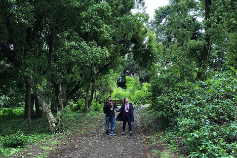 Alices Journeys Guided Walking Tours Of Daylesford - New Castle Holiday 5