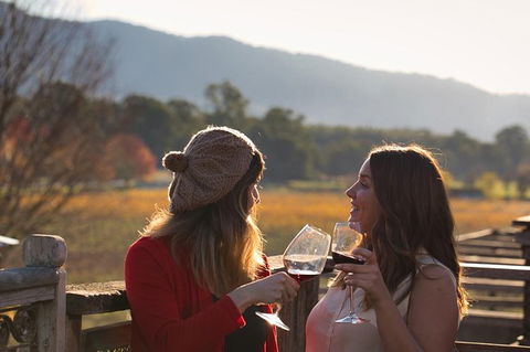 Feathertop Winery: Pedal And Picnic In The Vines - New Castle Holiday 4