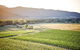 Feathertop Winery: Pedal And Picnic In The Vines - thumb 1