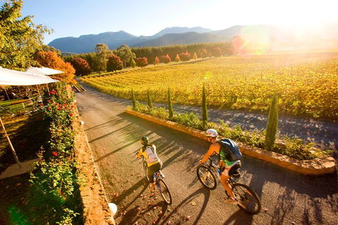 Feathertop Winery: Pedal And Picnic In The Vines - New Castle Holiday 0