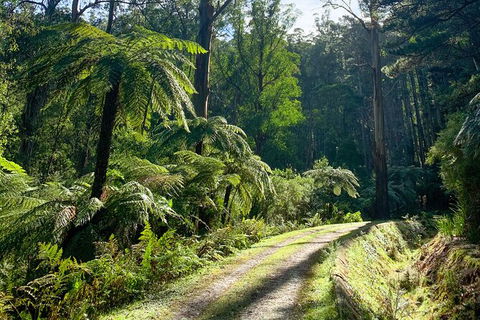Aqueduct And Rail Trail Self-Guided Bike Tour In Warburton - New Castle Holiday 3