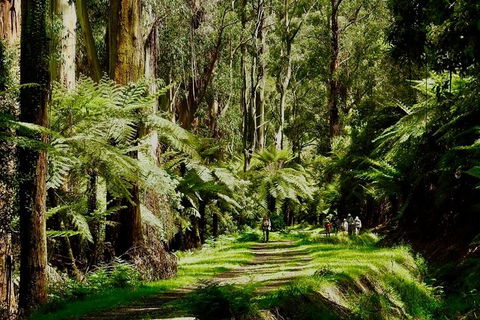 Aqueduct And Rail Trail Self-Guided Bike Tour In Warburton - New Castle Holiday 1