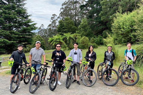 Aqueduct And Rail Trail Self-Guided Bike Tour In Warburton - New Castle Holiday 0
