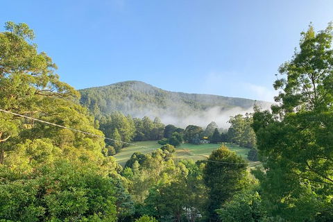 Hiking Tour To Aqueduct And Warburton Valley Lookout - New Castle Holiday 0