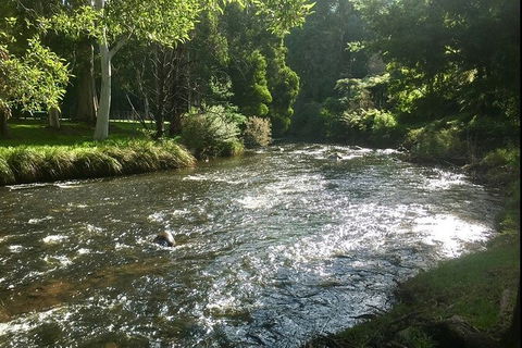 Watertube Experience In Yarra River - New Castle Holiday 3