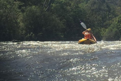 Yarra River Half-Day Rafting Experience - New Castle Holiday 5