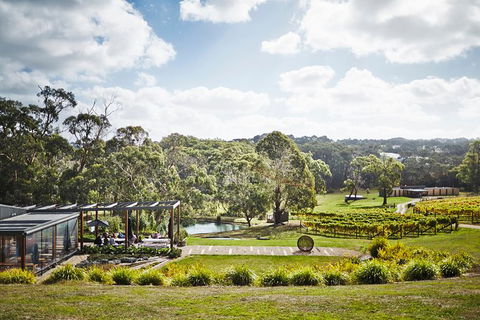 Mornington Peninsula 2-6 Guests Lunch, Wine And Pt Leo Estate Art Walk - New Castle Holiday 2