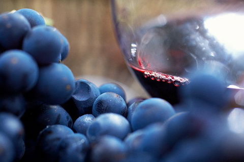 Mornington Peninsula Premium 2-6 Guests Lunch At Merricks General Wine Store - New Castle Holiday 7