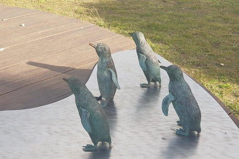 Phillip Island Penguin And Wildlife Tour - New Castle Holiday 14