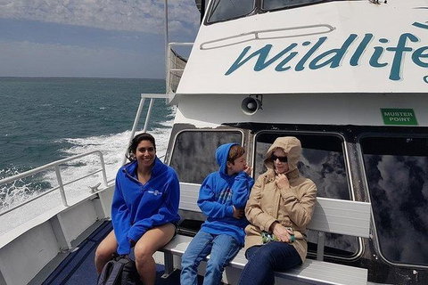 Phillip Island Penguin And Wildlife Tour - New Castle Holiday 15